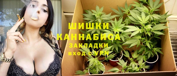 тгк Каменск-Шахтинский