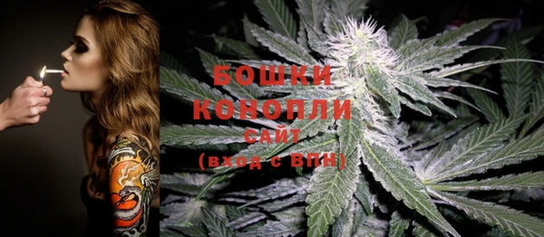 МДМА Каменка