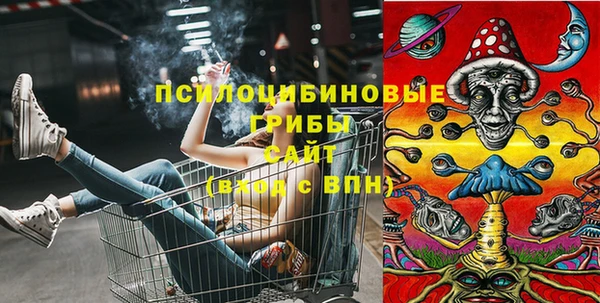 тгк Каменск-Шахтинский