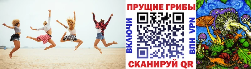 Купить Балахна Галлюциногенные грибы MAGIC MUSHROOMS